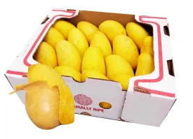 Atulfo Mango Box