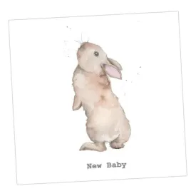 Bertie Bunny's Whiskers New Baby Card