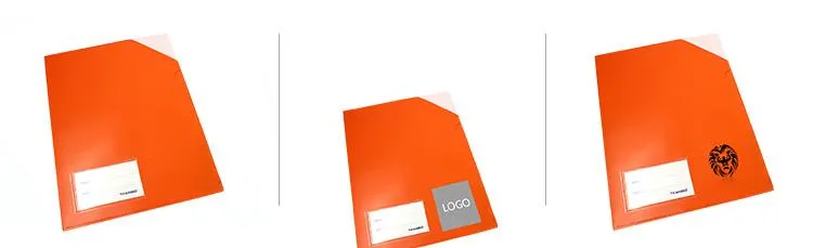 Coloured L-Shaped Document Holder