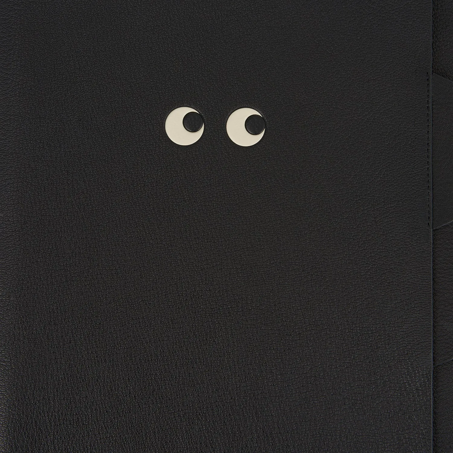 Eyes A4 Document Sleeve