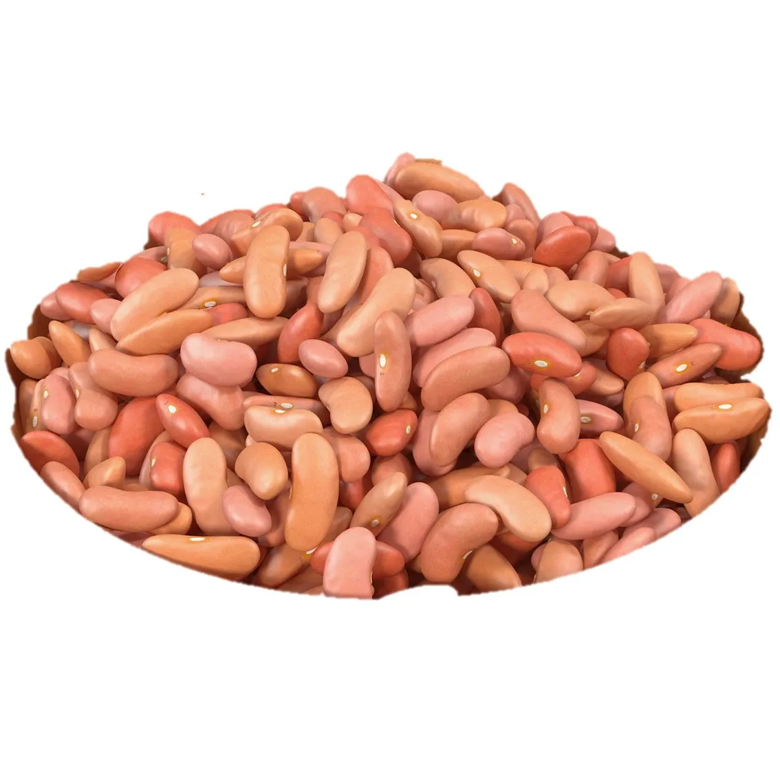 Light Kidney Beans