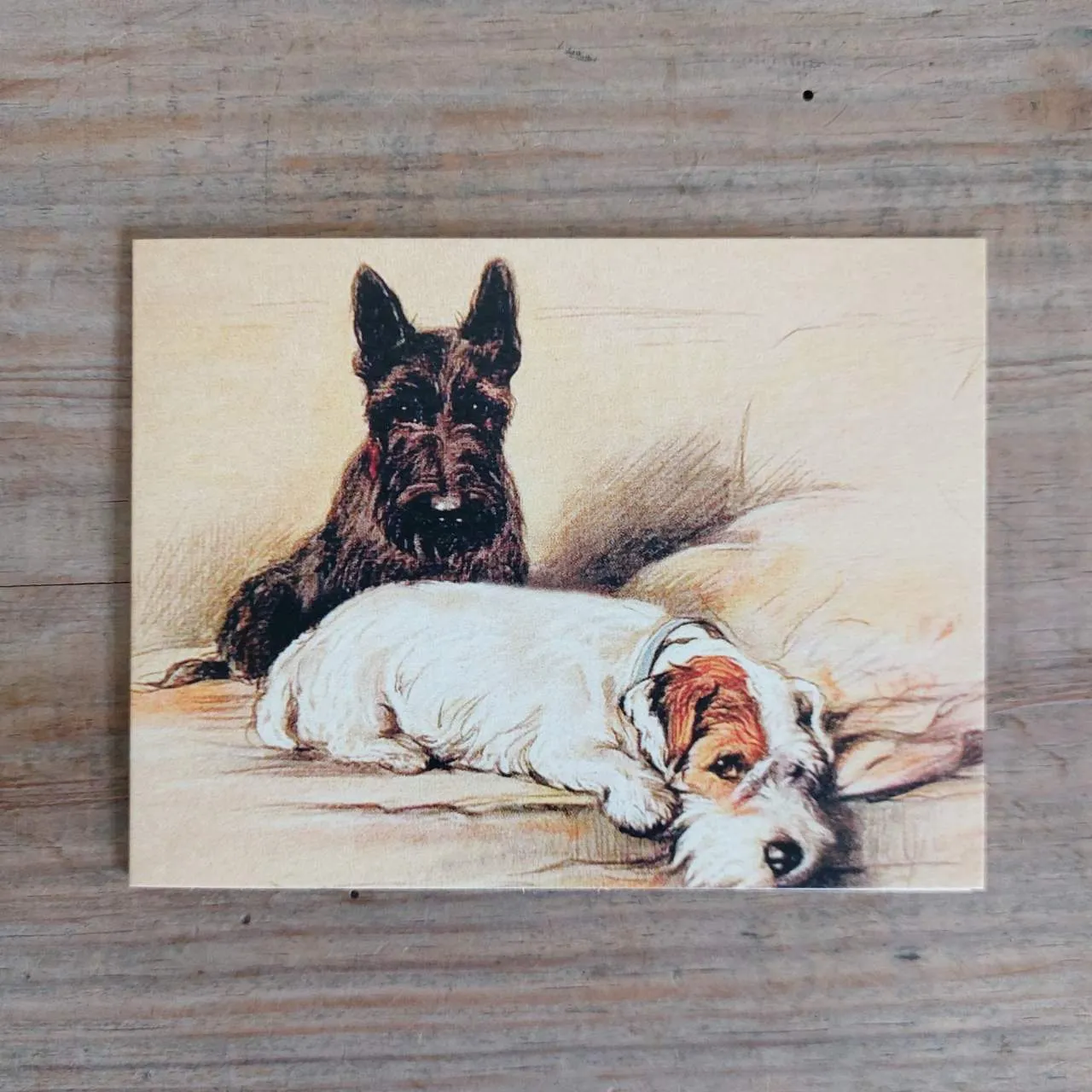 On The Sofa - Petite Greeting Card