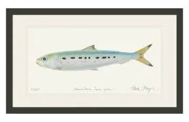 Sardine Print