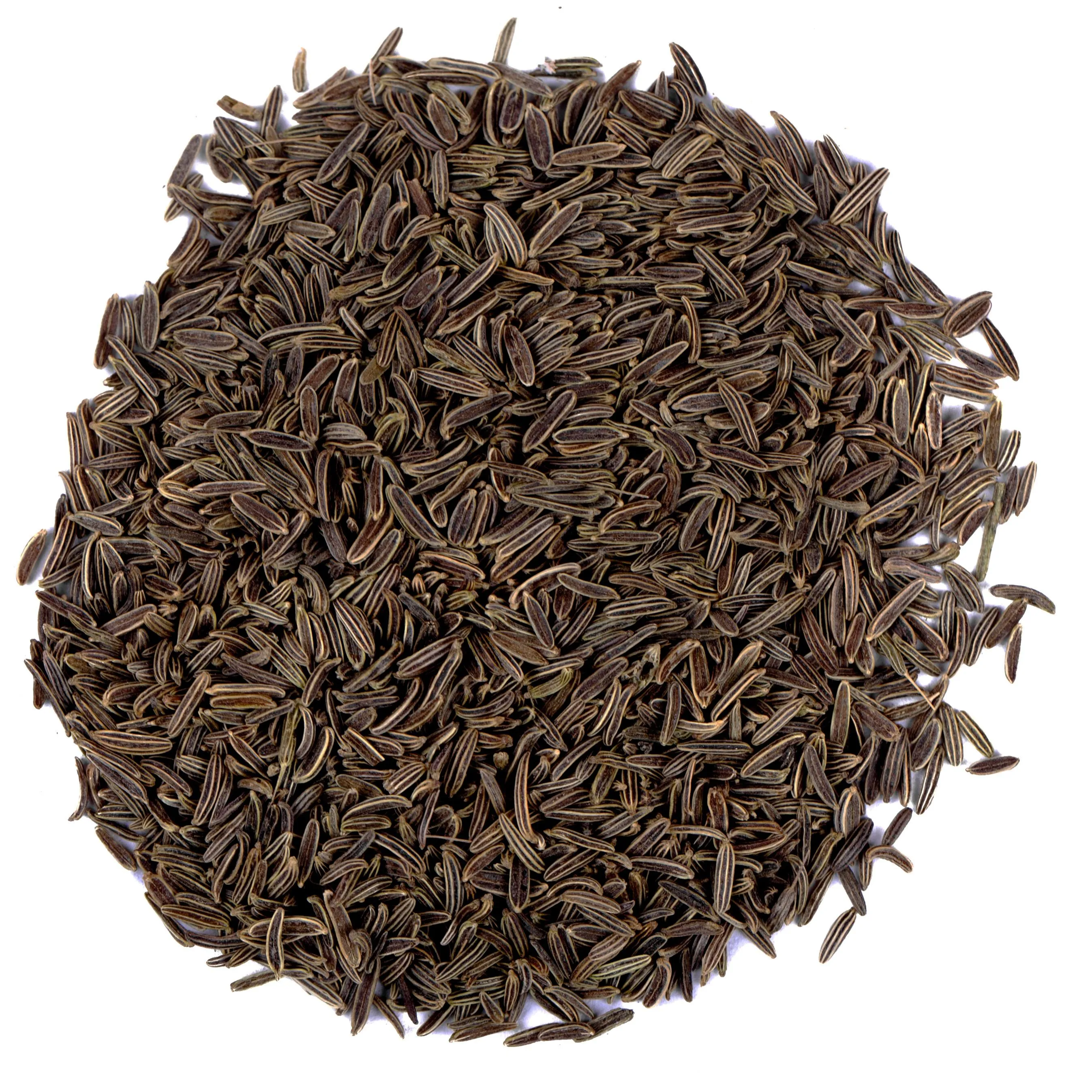 Shah Jeera / Black Cumin Seeds / Caraway Seeds / Bunium bulbocastanum / Carum Carvi