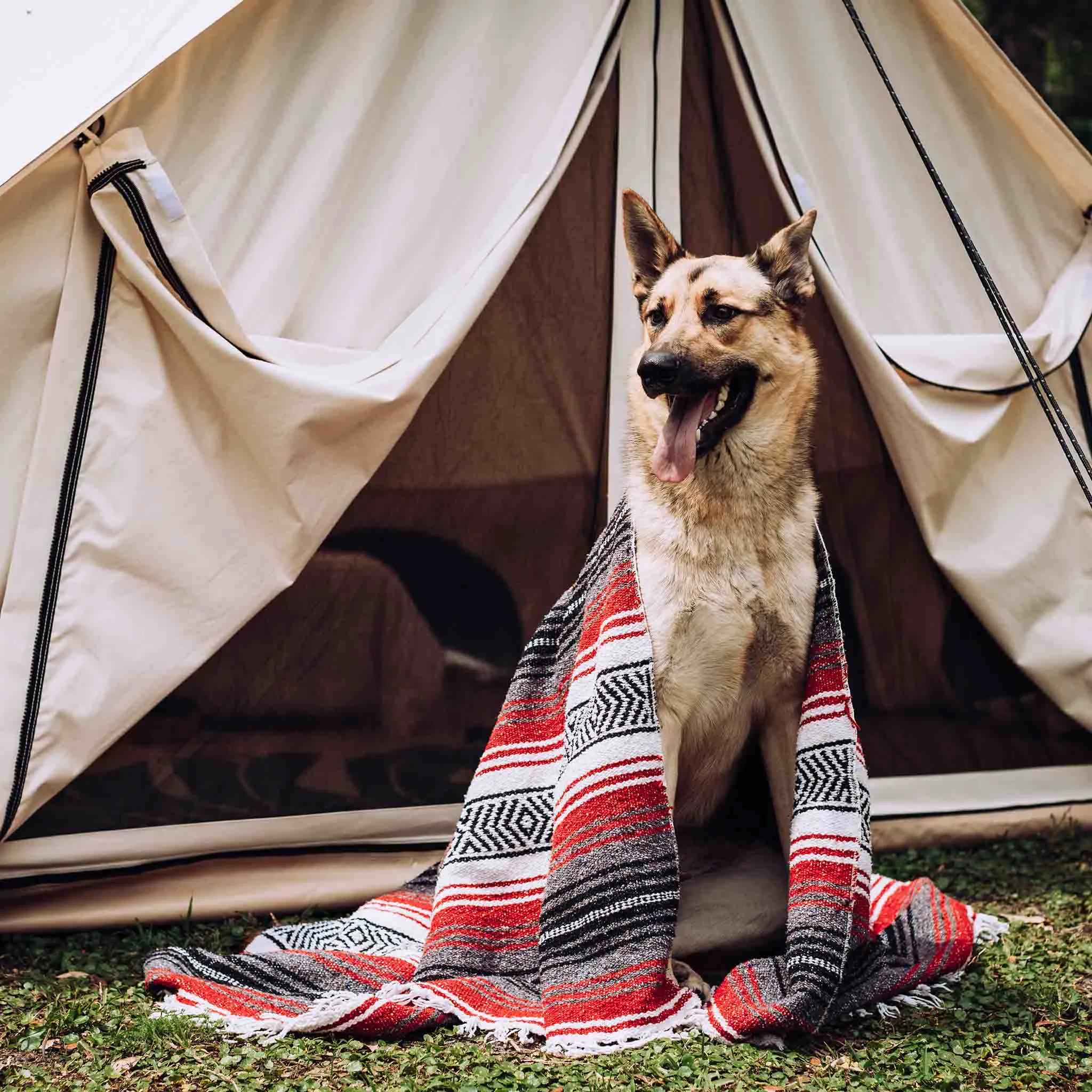 Used - 13' Avalon Bell Tent