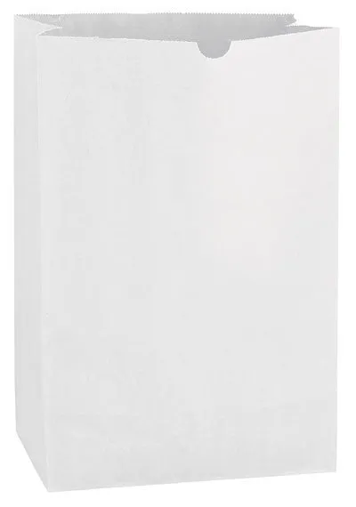 Wholesale White Kraft 1/6 bbl. Grocery Bag - 6G16BW